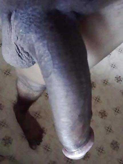 https://pub-5fcdf72a54cd4edbb03ec3edaa415a42.r2.dev/nakedleaks/21_photos_of_big_indian_manhood/3.jpg