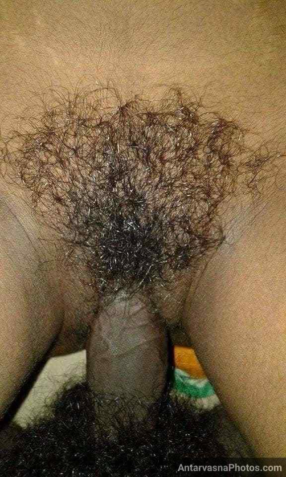 Captivating Images of a Plump Sister-in-law's Bushy Vagina