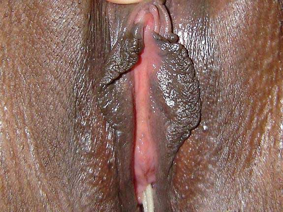 https://pub-5fcdf72a54cd4edbb03ec3edaa415a42.r2.dev/nakedleaks/photo_of_madhu_bhabhi's_indian_vagina/7.jpg